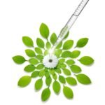 huiles essentielles pour dormir 2