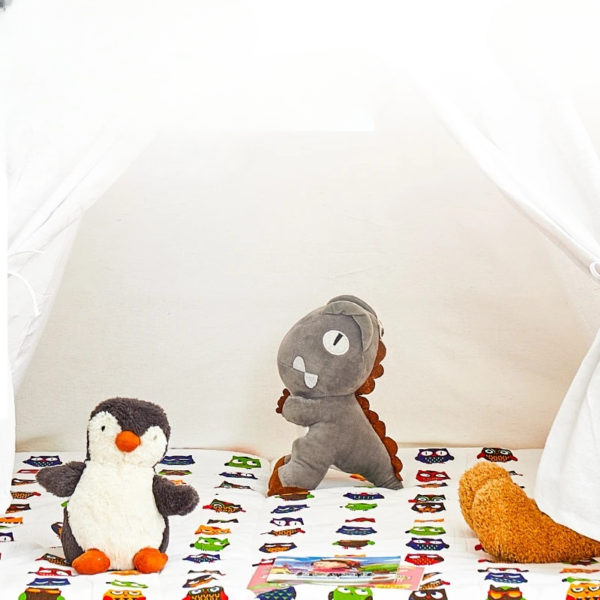 tipi_garcon_avec_tapis_2