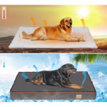 Meilleur_lit_orthopédique_pour_chien_img10_cleanup