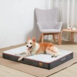 Meilleur_lit_orthopédique_pour_chien_img11