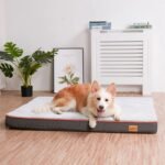 Meilleur lit orthopédique pour chien