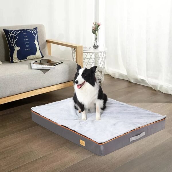 Meilleur_lit_orthopédique_pour_chien_img2