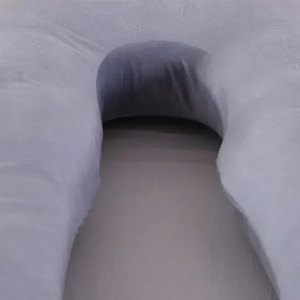 2024312591